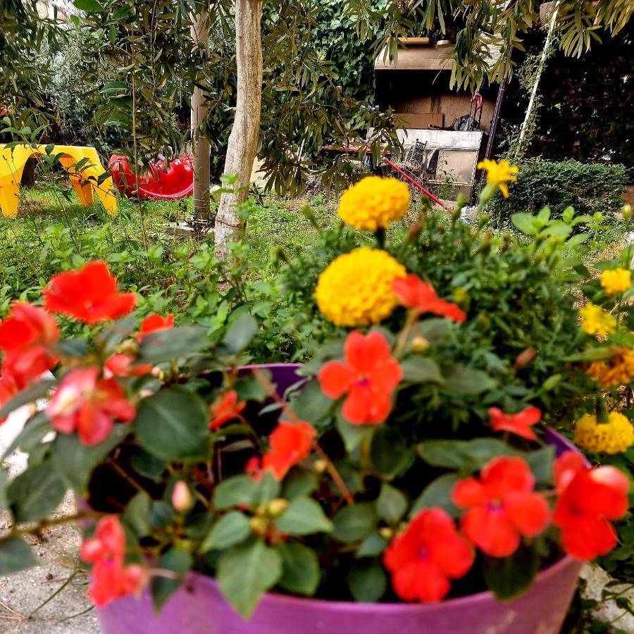 דורס Vacation Home Near The Sea מראה חיצוני תמונה